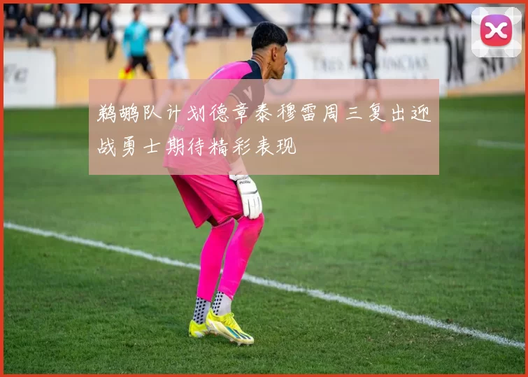 鹈鹕队计划德章泰穆雷周三复出迎战勇士期待精彩表现