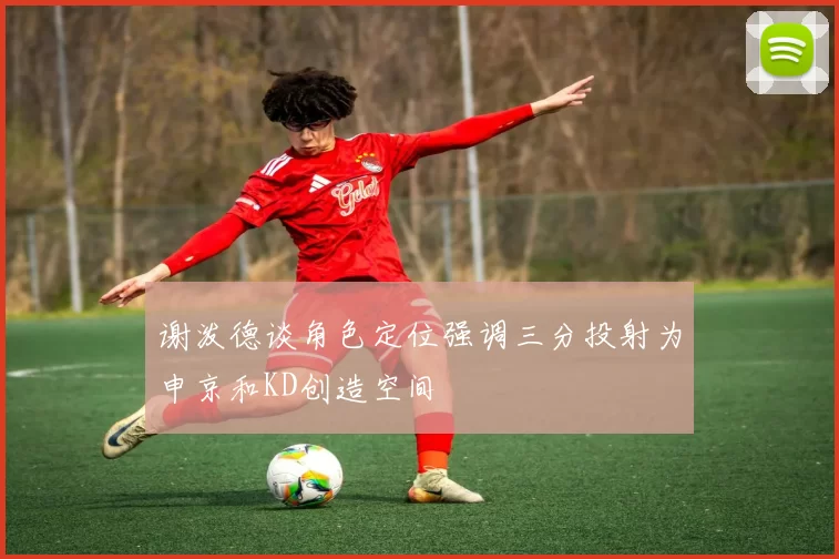 谢泼德谈角色定位强调三分投射为申京和KD创造空间